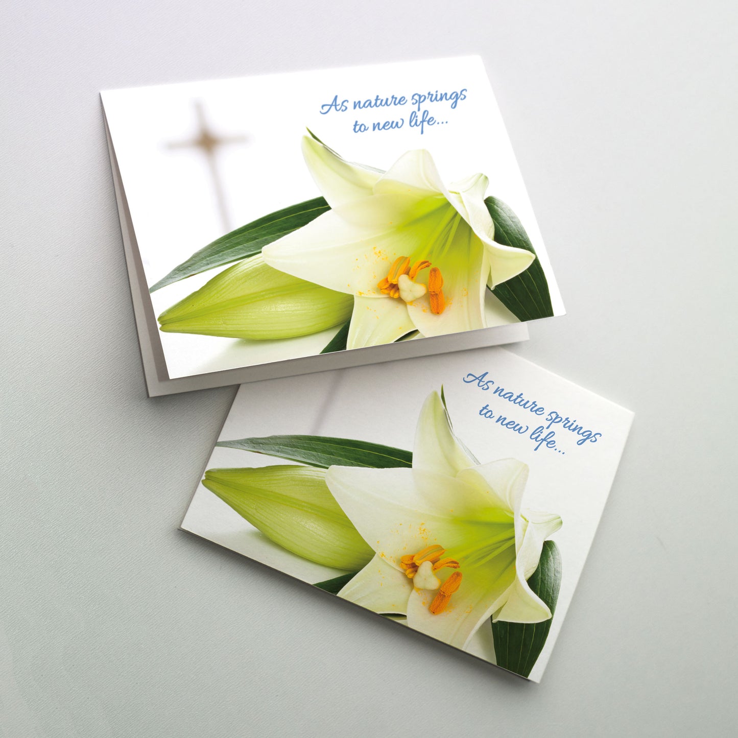 As Nature Springs to New Life... - Easter Card