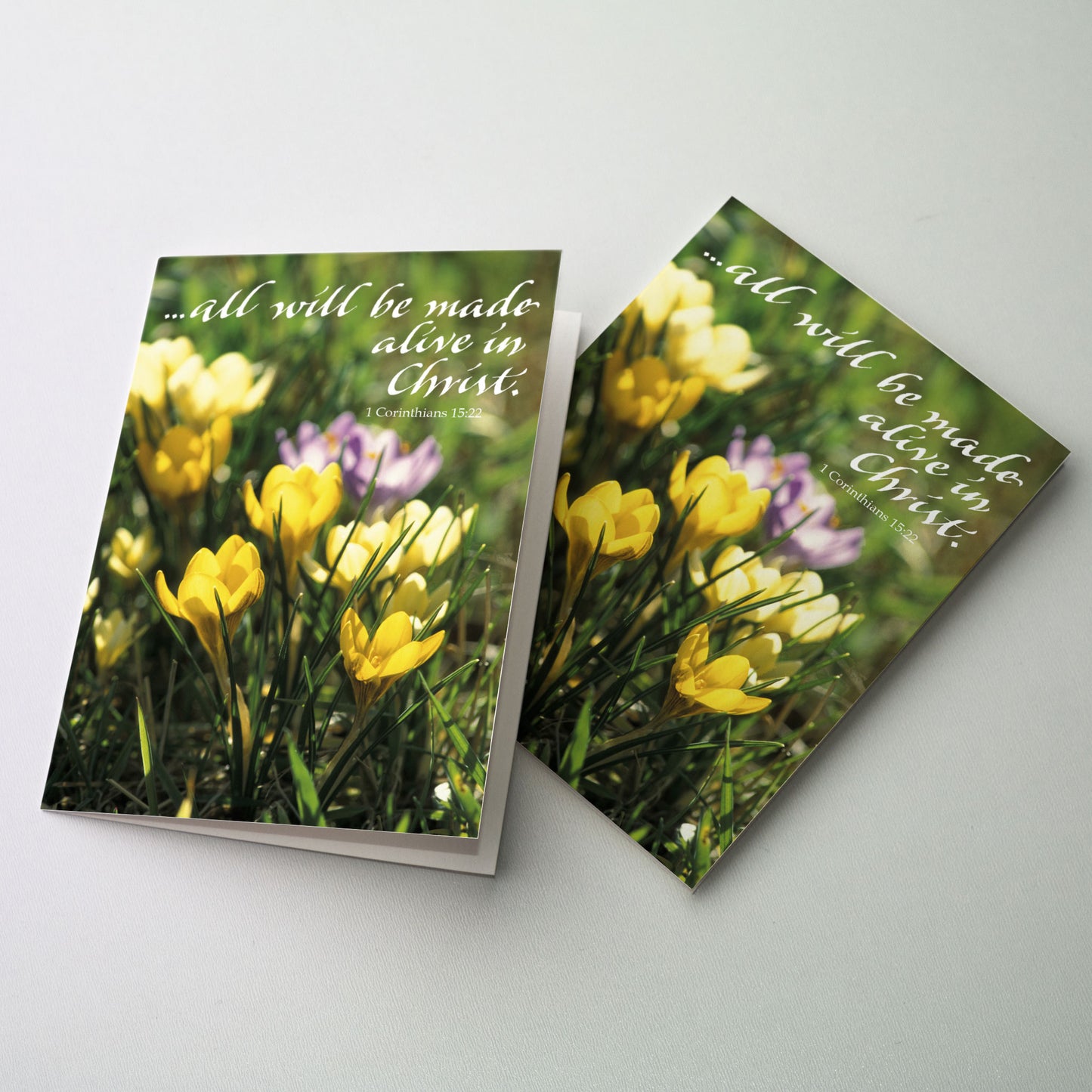 All Will Be Made Alive in Christ - Easter Card