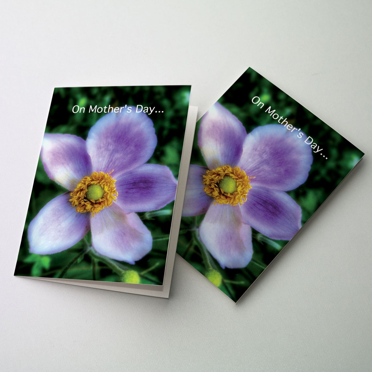 Soft focus photo of a purple flower. Message is suitable for sending to any mother.