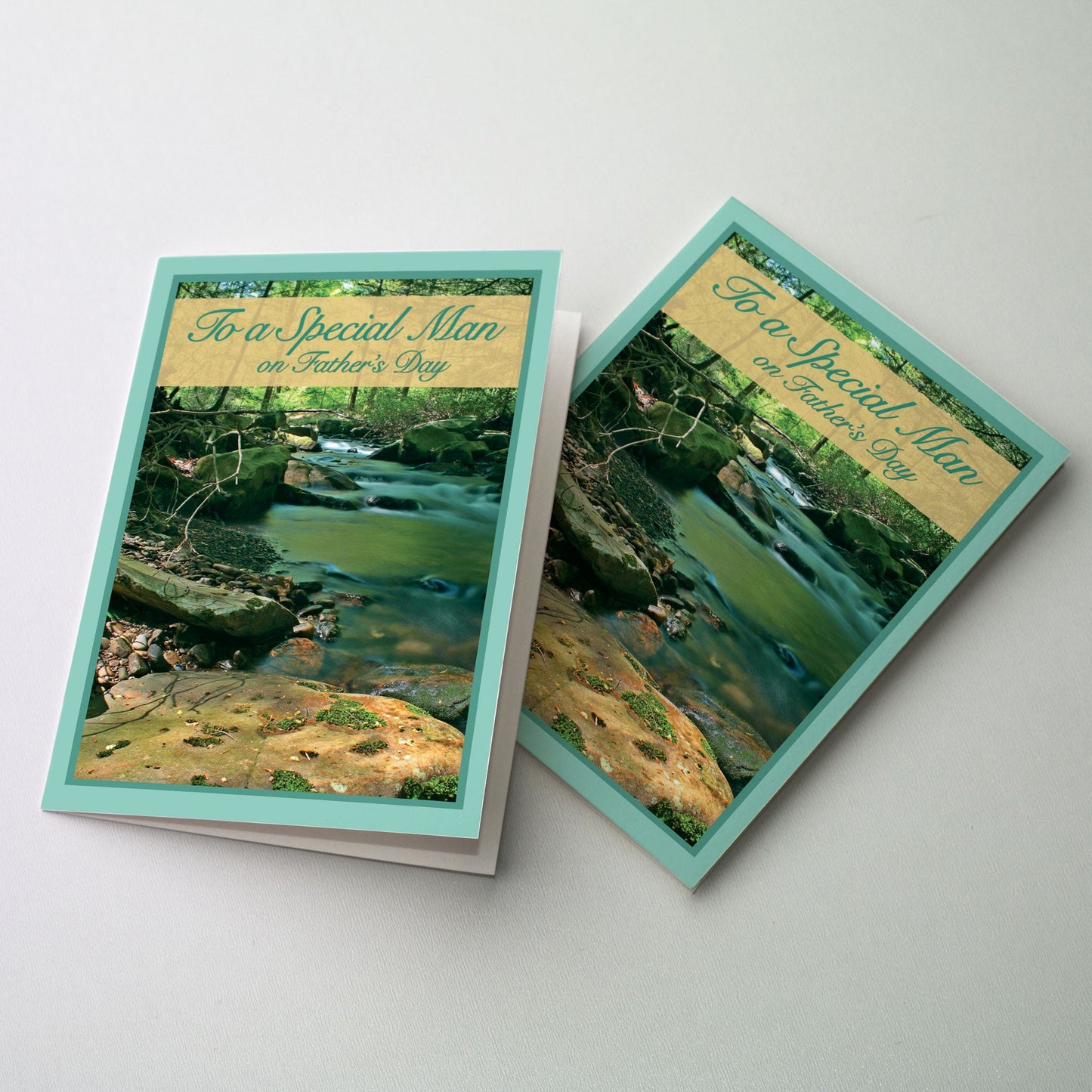 Tumbling brook in forest setting