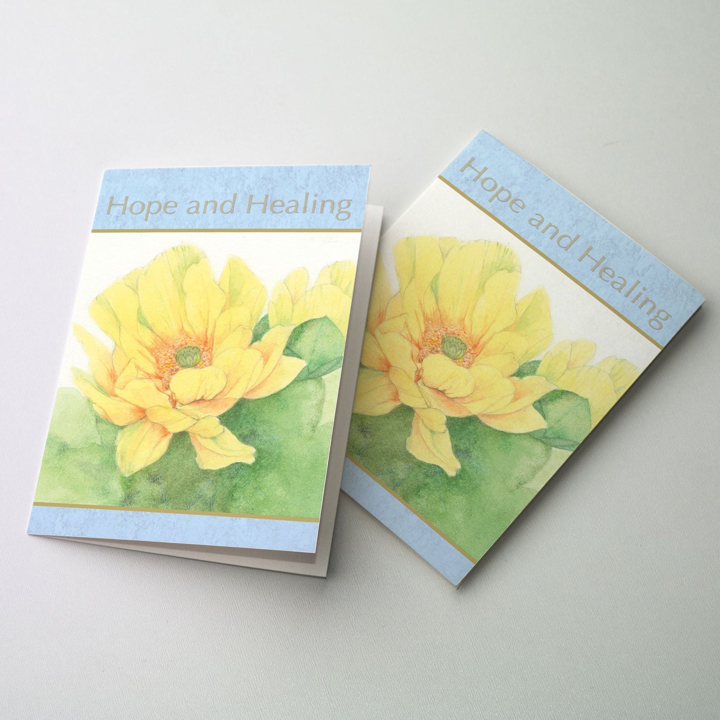 Image of a yellow cactus blossom