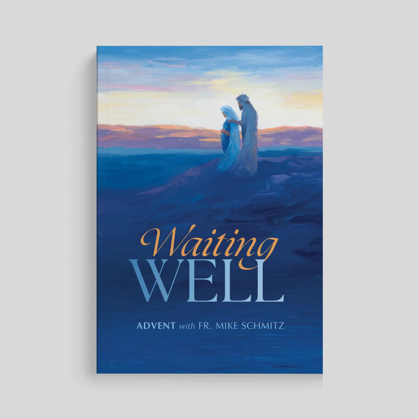 Waiting Well: Advent with Fr. Mike Schmitz