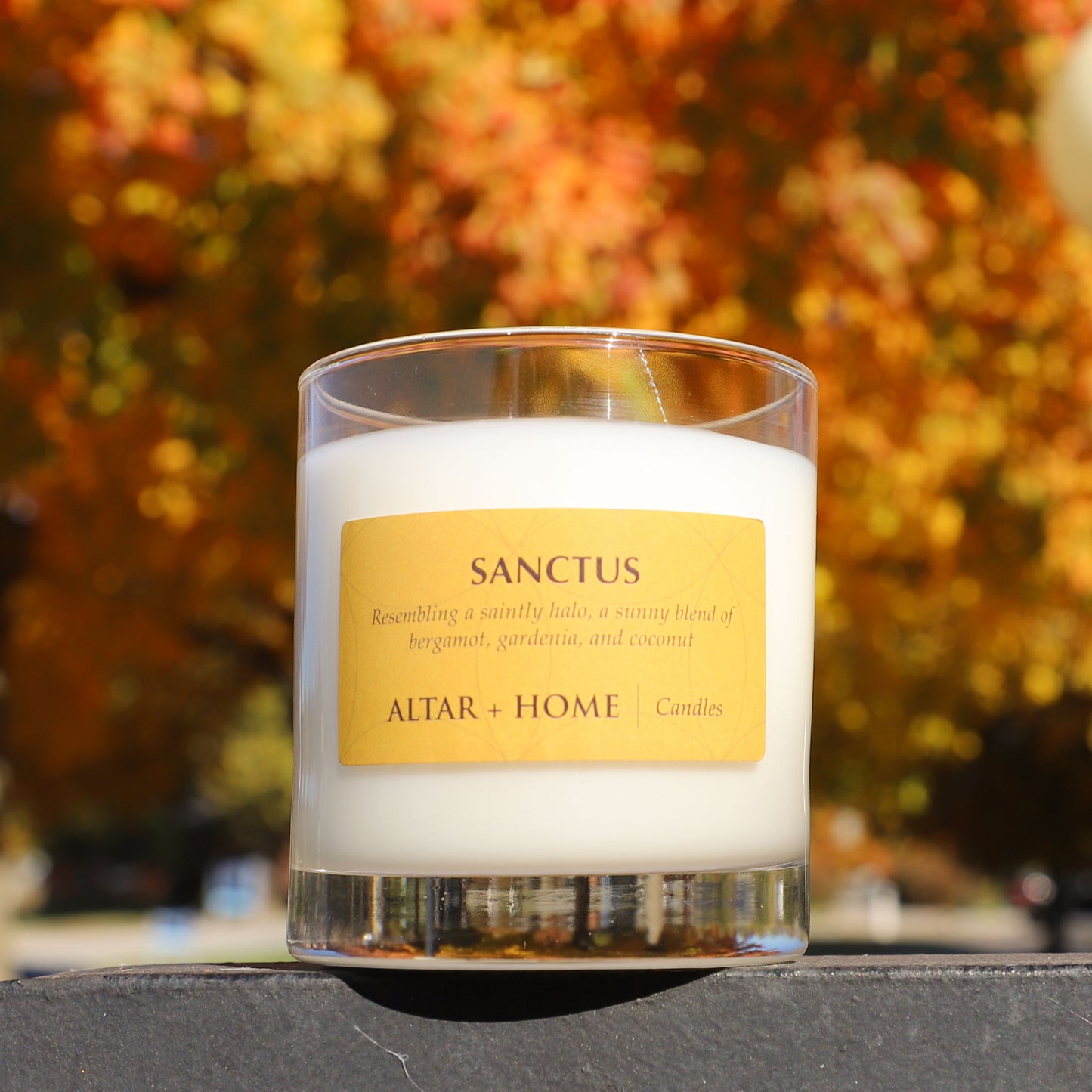 Sanctus - Scented Candle (White Wax)