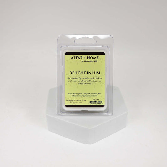Delight in Him - Wax Melt (White Wax)