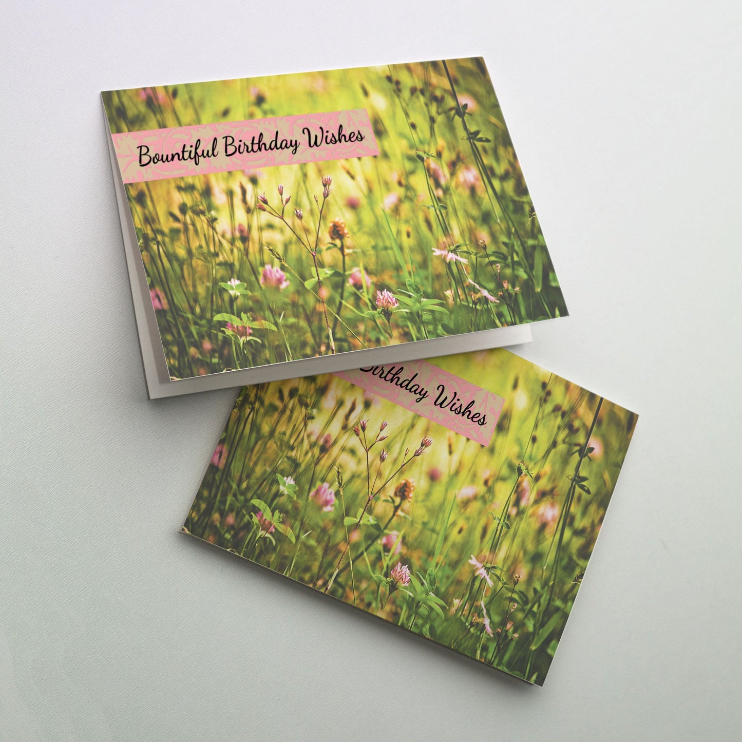 Photo close-up shot of a meadow filled with pink wild flowers