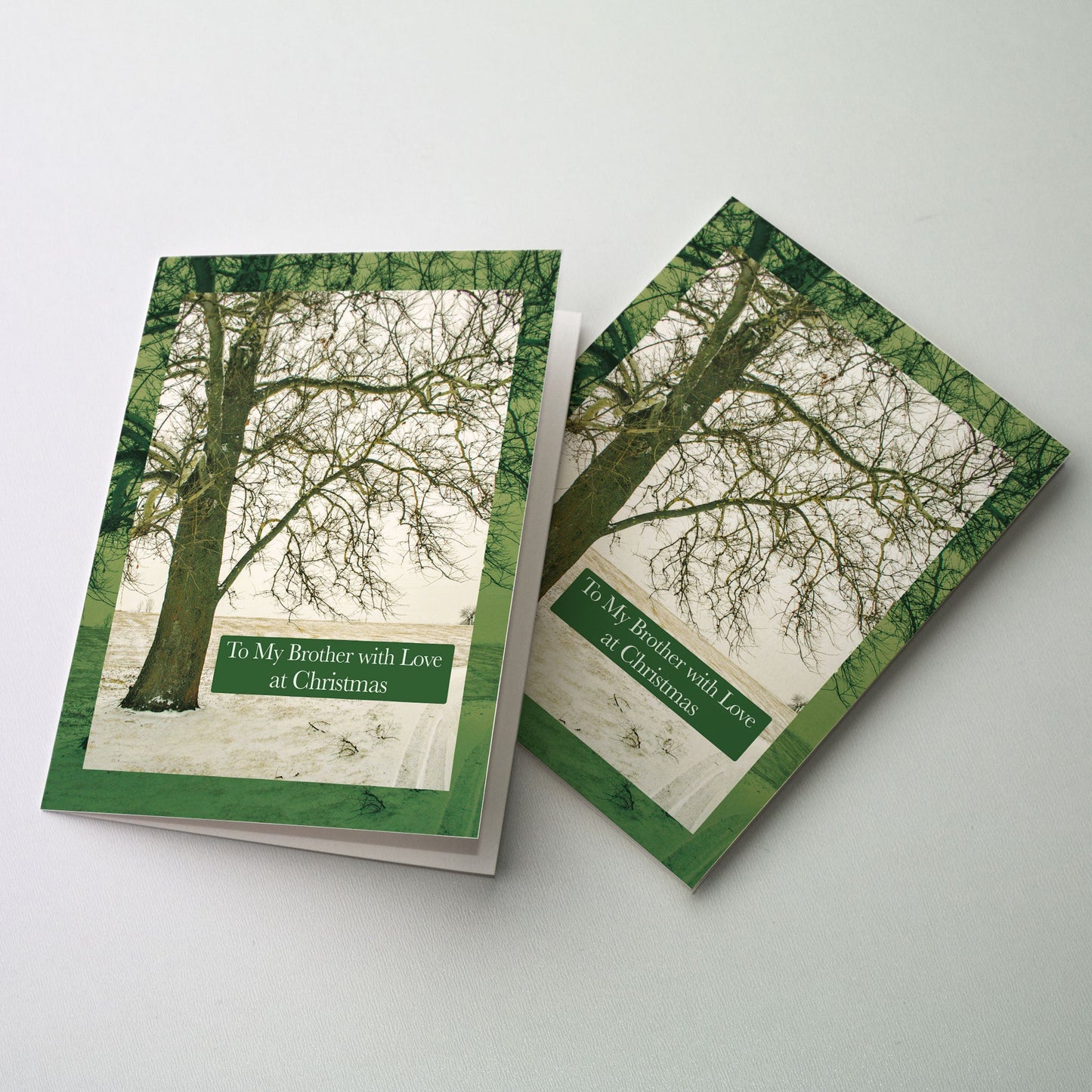Photograph of a quiet winter scene with birch tree and snow. A transparent border repeats the image in green. Cover title is on a green banner.